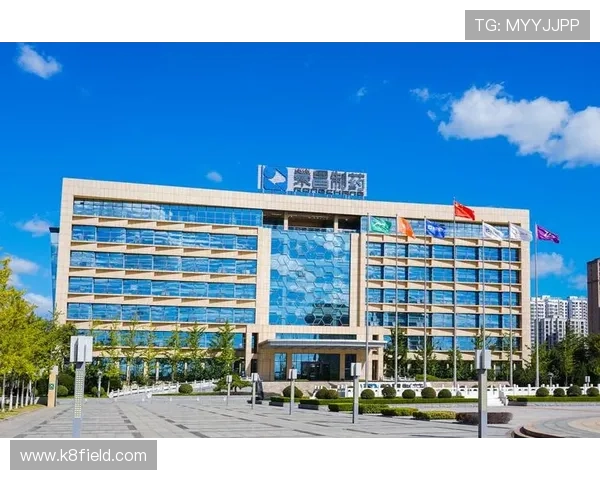 凯发集团平台免费下载多平台支持，随时随地畅享高品质游戏娱乐体验